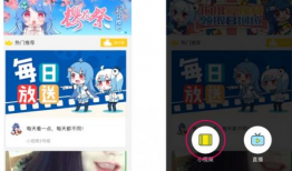 如何下载哔哩哔哩视频,哔哩哔哩视频下载全攻略